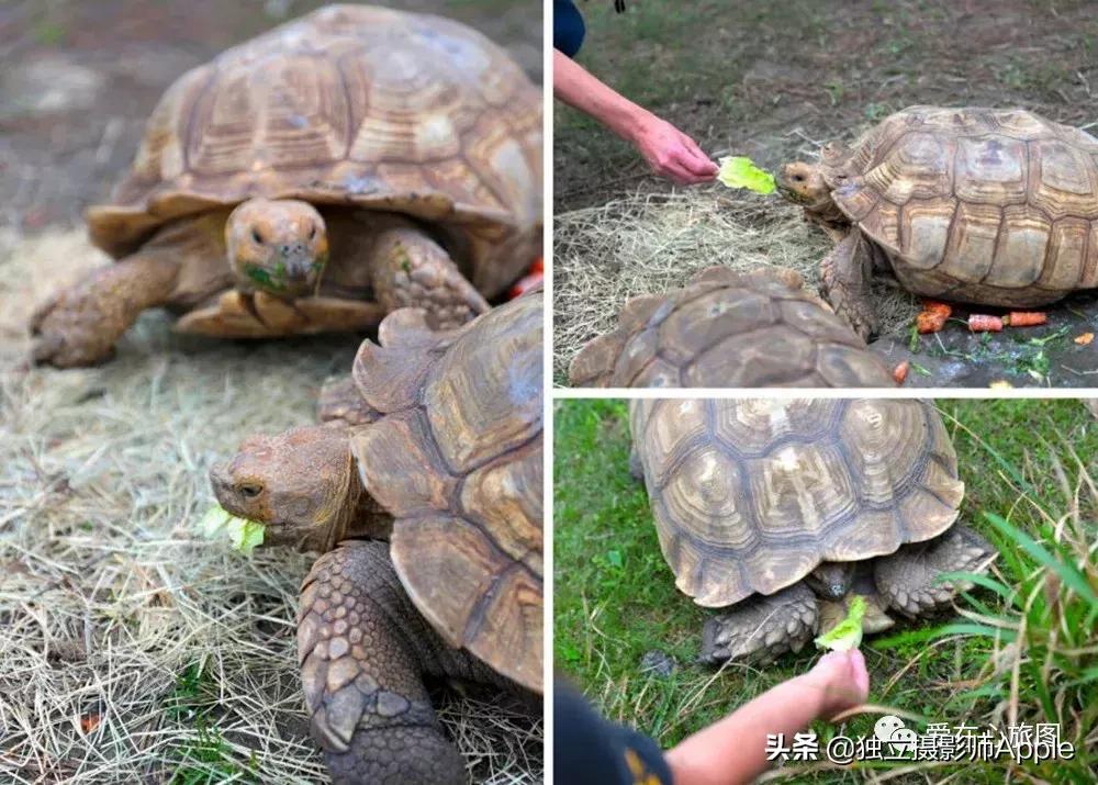 请收下这份美好生活攻略,请收下这份旅游攻略