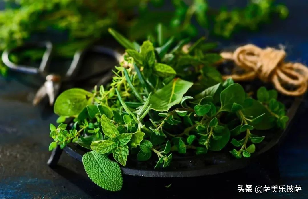 披萨用哪种香草,步骤完整的烘焙美味披萨的全攻略