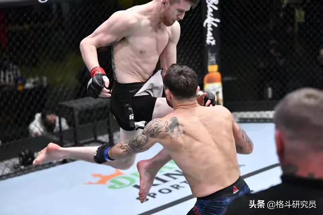ufc比赛规则和标准,ufc比赛技术分析