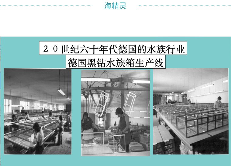 海水产品的优缺点,海水制作的产品有哪些