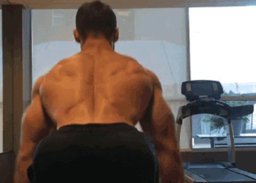 背部训练健身体式动作图解,健身背部训练背背佳