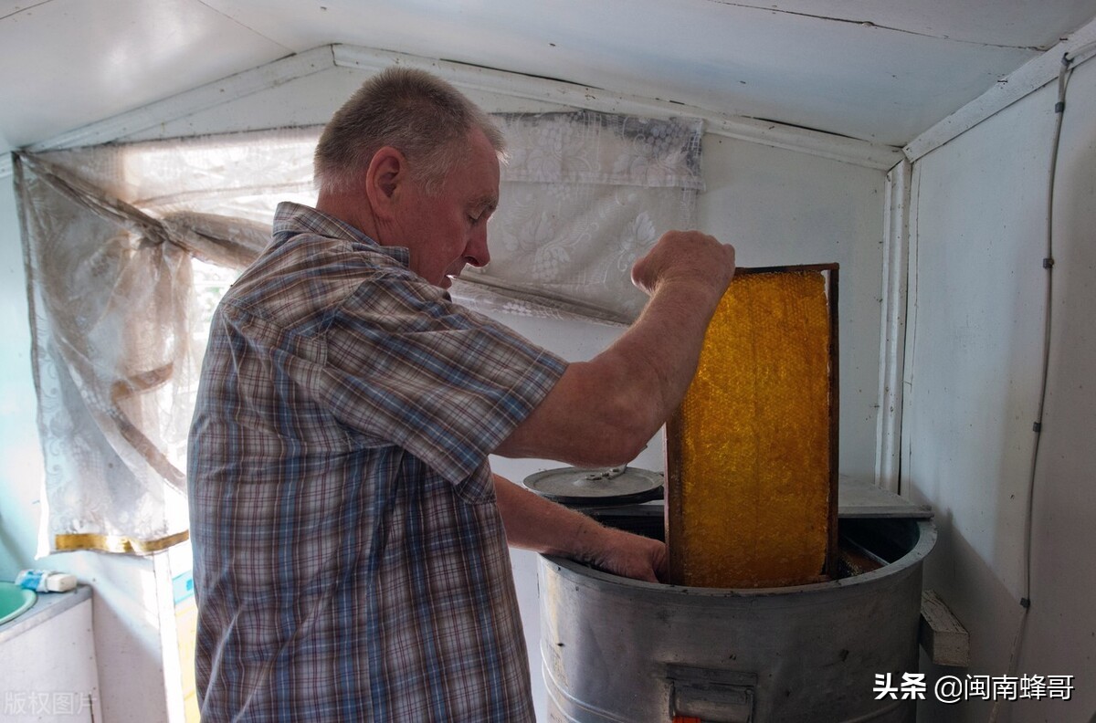 养蜂怎么引蜜蜂,怎么养蜂才能快速繁殖蜜蜂