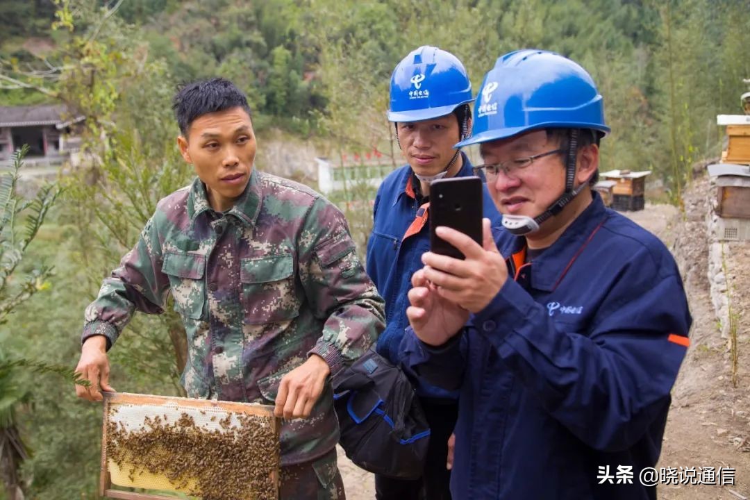 新农村致富故事,基本都是新农人的创业故事