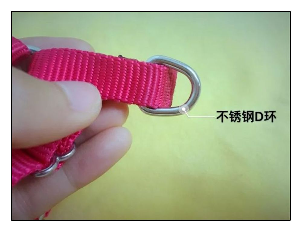 铲屎官安全注意事项,铲屎官遇到危险土狗