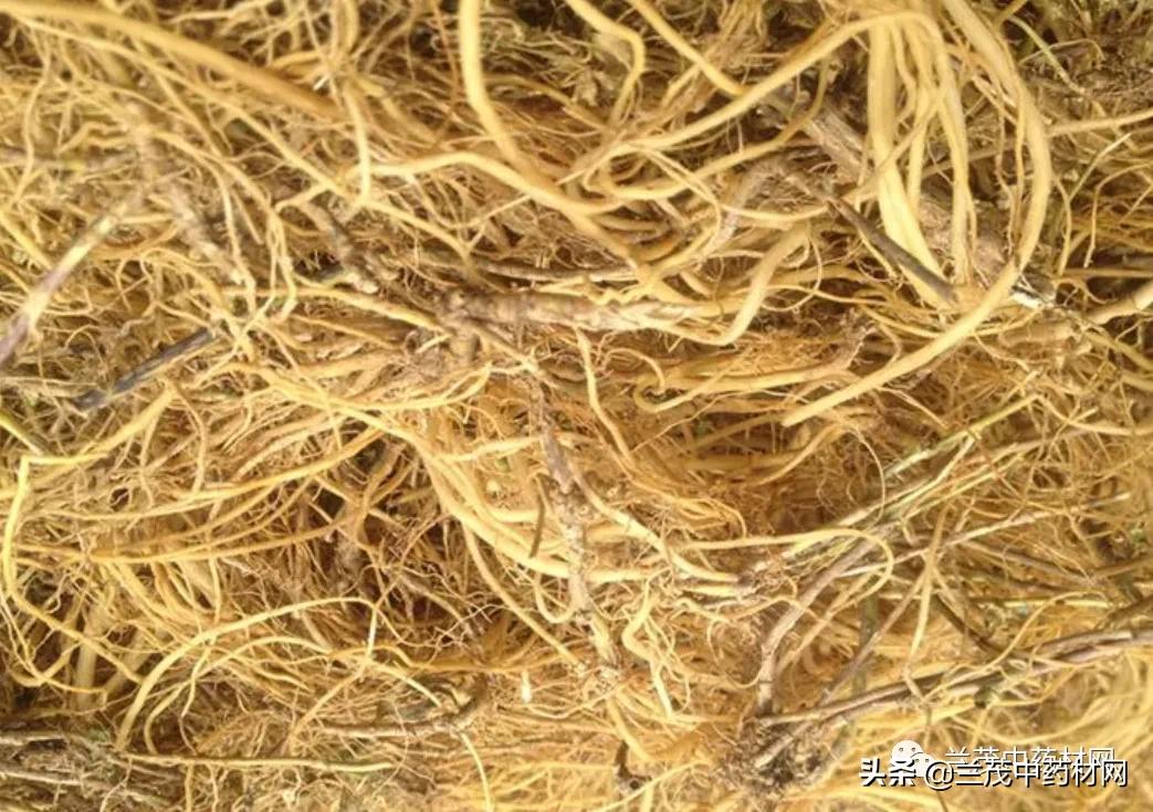 云南昆明中药材交易市场行情报价,云南省地道中药材及市场价