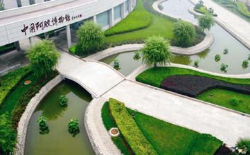 东阿阿胶传承金牌品质,东阿阿胶国之瑰宝