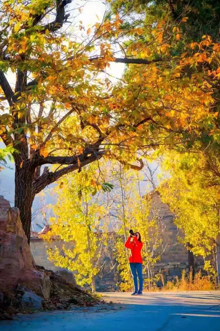 凝香集萃,四季皆美!莱芜区香山,鲁中山区的璀璨明珠