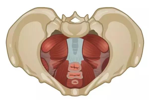 产后大笑漏尿用什么药,产后咳嗽漏尿最好的办法是怎么治