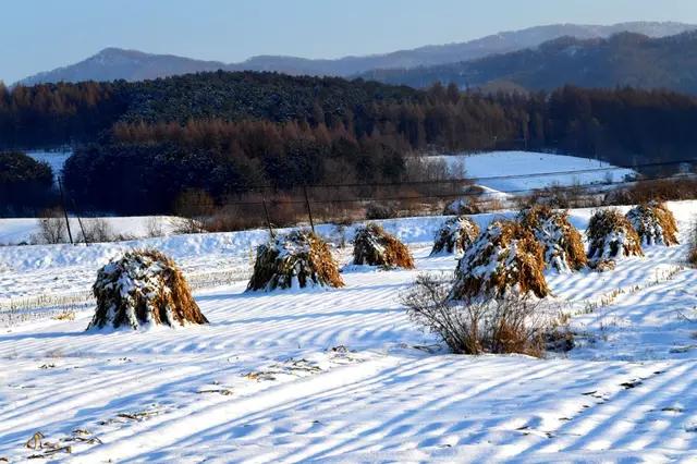 吉林省通化市柳河,吉林通化县柳河