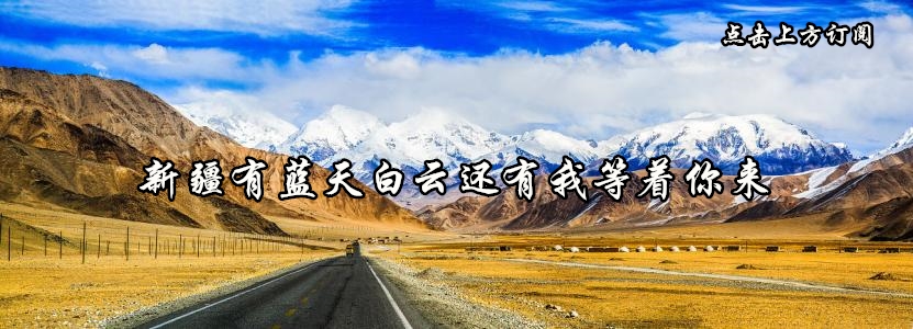 新疆最爱吃的菜有哪些,新疆干果最好吃的是什么果