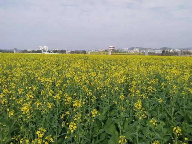 俗话说：成功的人有“十悟”，失败的人有“十误”