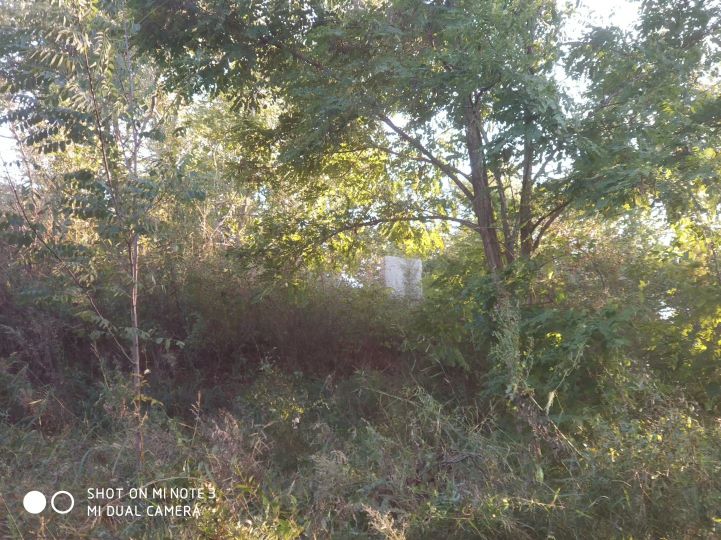 大连长兴岛长城,大连长城4s店