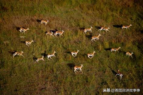 属马的出生在什么时辰好,属马的出生时辰分析