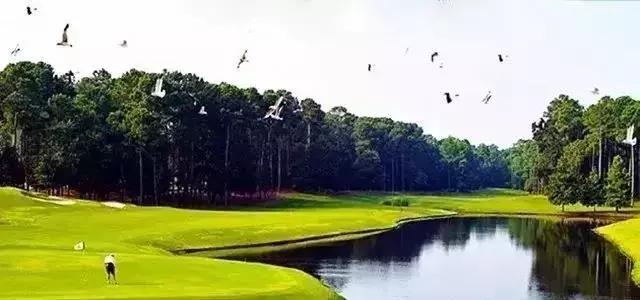 惠州海边无边泳池酒店推荐,惠州网红无边泳池酒店推荐