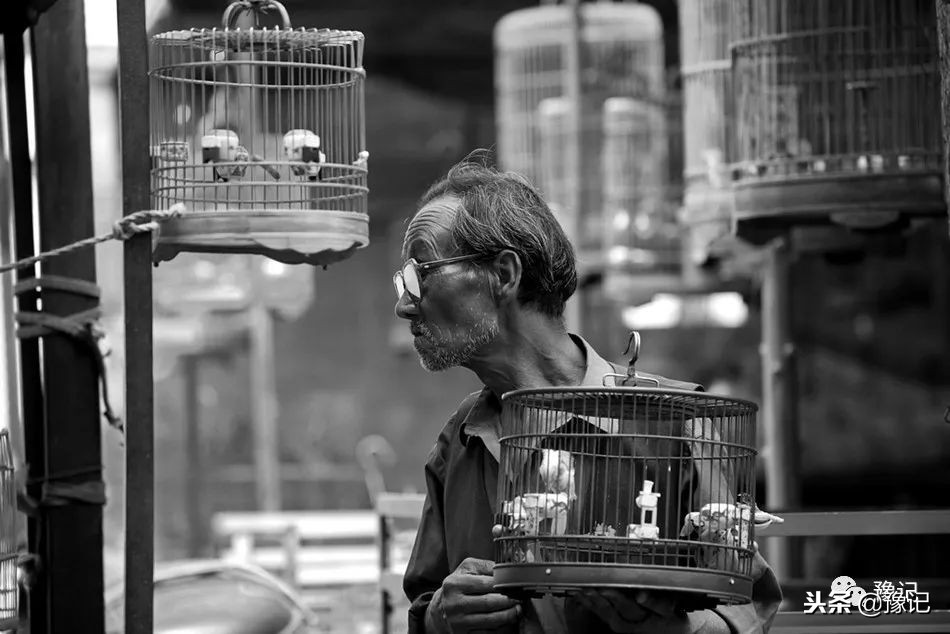 皇城根脚下,那是开封大爷遛鸟的天地