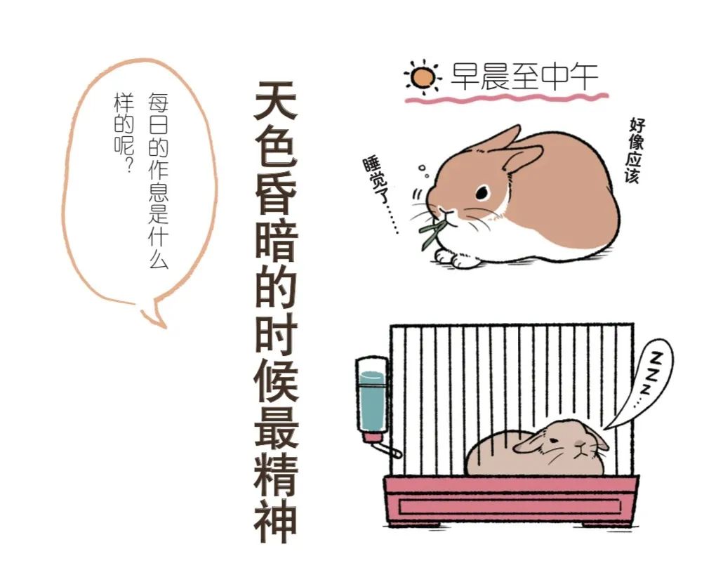 兔子不好养是什么意思,养兔子技巧