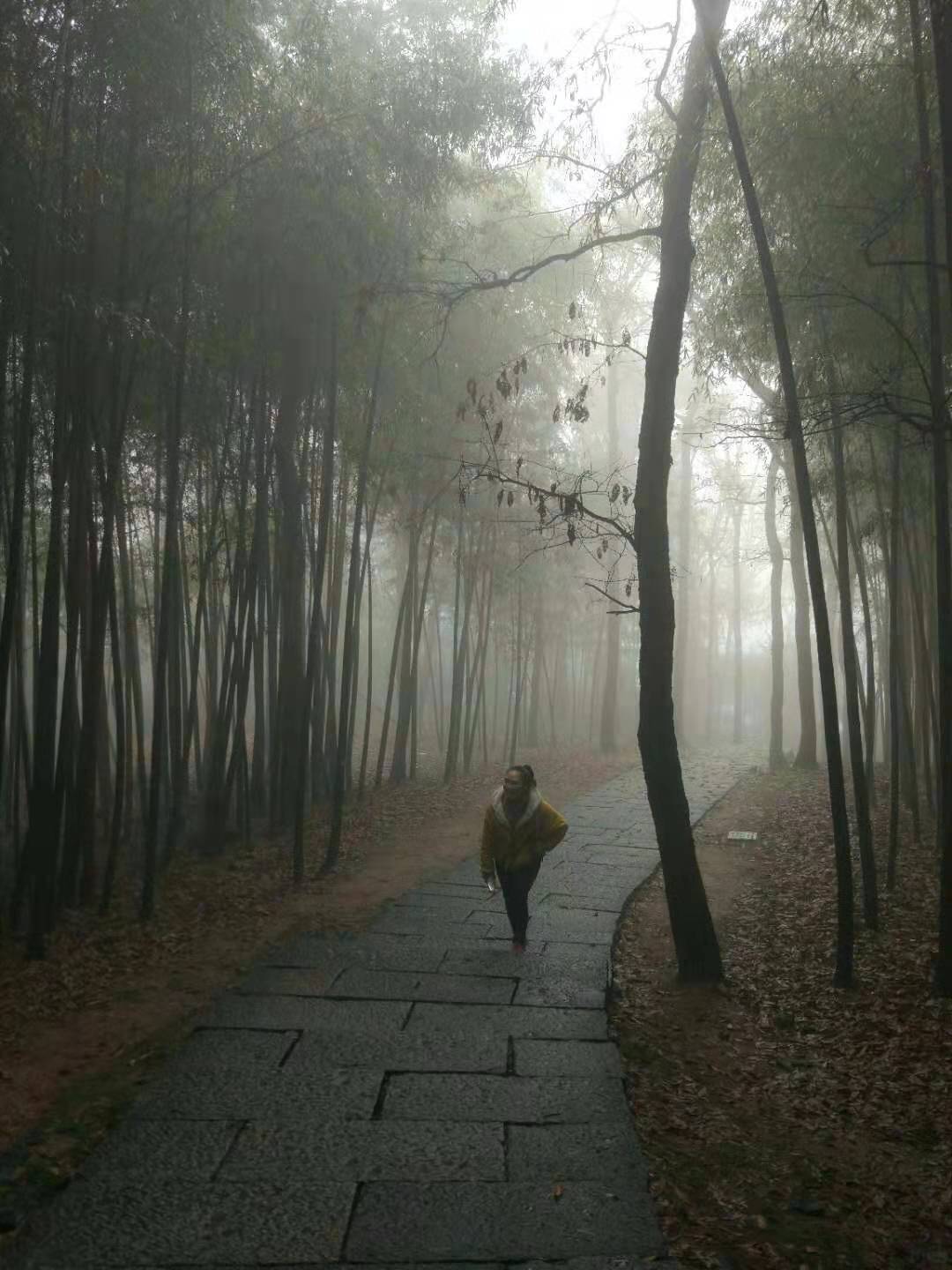 杭州云栖竹径多高,杭州人知道的云栖竹径