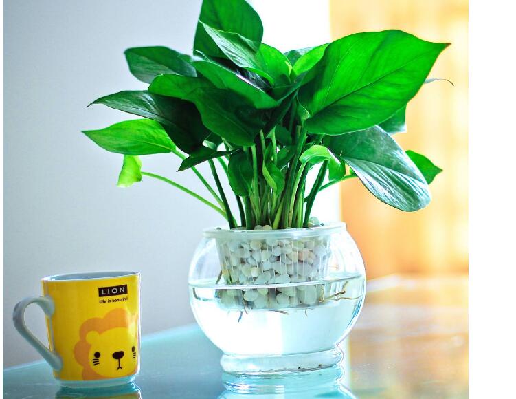 一直开窗通风能不能降低甲醛浓度,科学除甲醛不让甲醛偷偷伤害你