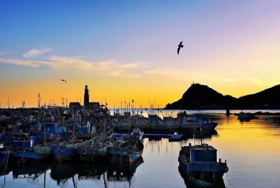 大连旅游可以看海的民宿,大连海边最好的民宿