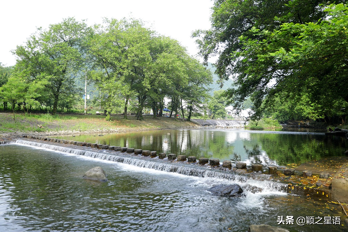 宁波牡丹花园有哪些,宁波古今牡丹园