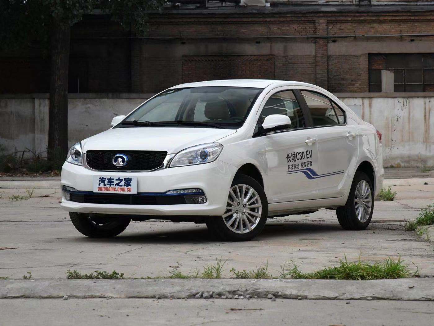 薛定谔的猫实测,欧拉白猫小野猫试驾