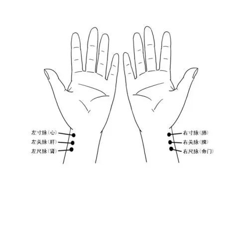 中医诊脉怎么辨别寒热虚实阴阳,中医把脉28种脉象对应的疾病