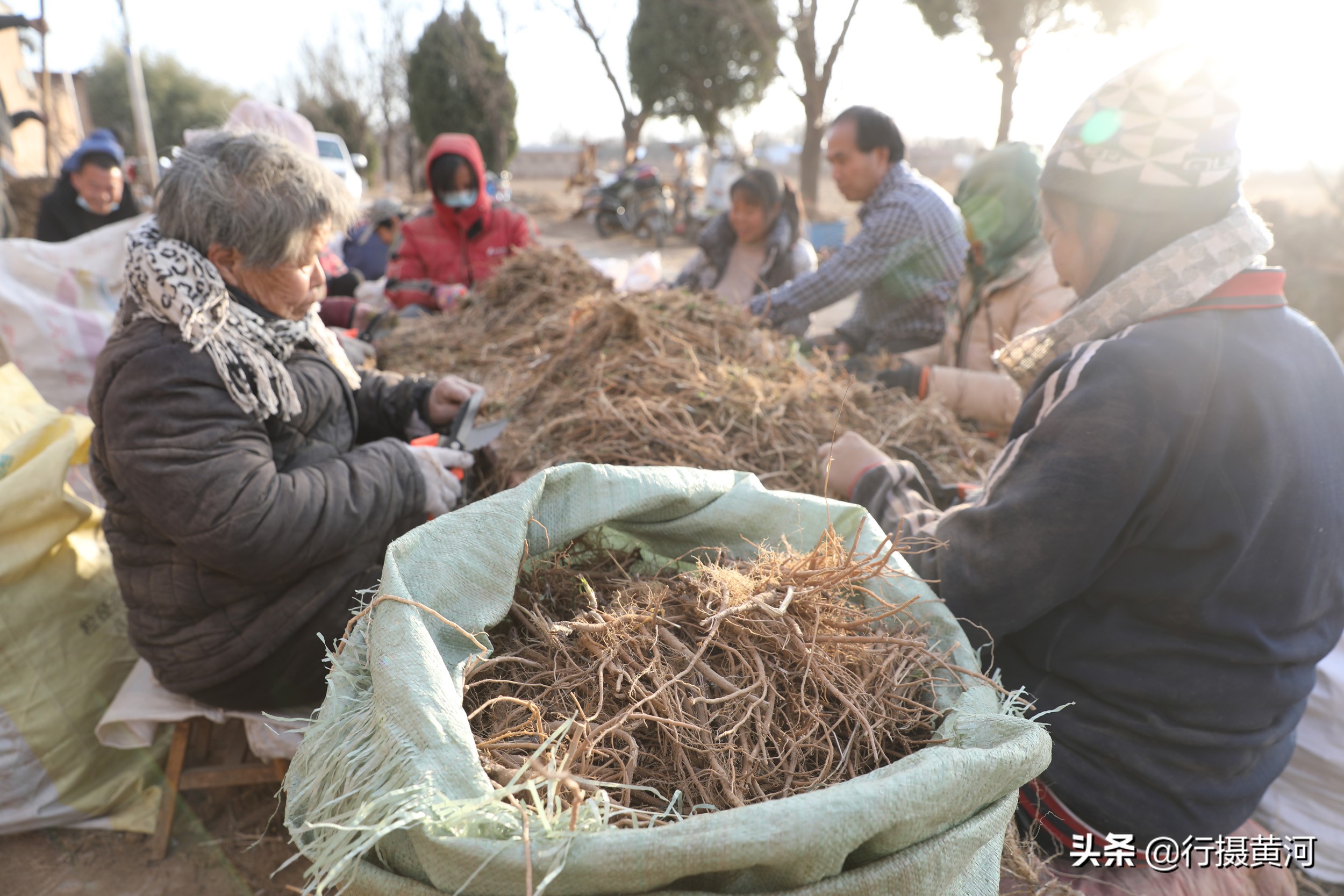 山西1群妇女聚在墙角干无本生意，冠军1天能挣100元，干的啥