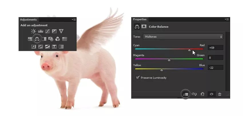 ps花仙子合成教程,ps合成狗狗教程
