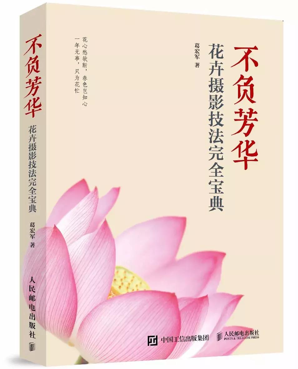 家养花卉摄影构图教程集锦,相机拍花卉拍照技巧和构图