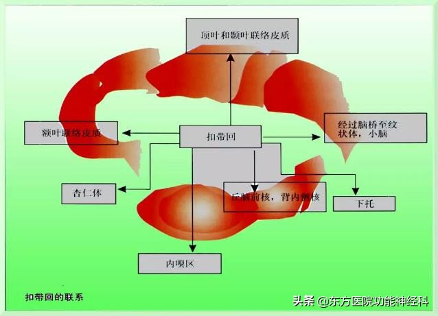 精神病人的前世,精神科药物的前世今生