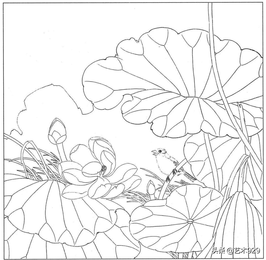 余稚荷花蜻蜓图高清白描底稿,白描荷花勾线方法讲解视频