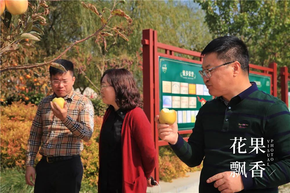 一箱鲜橙多利润,一箱水果利润多少