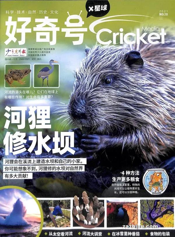 如何订购杂志更便宜一些,杂志怎么订阅最便宜的