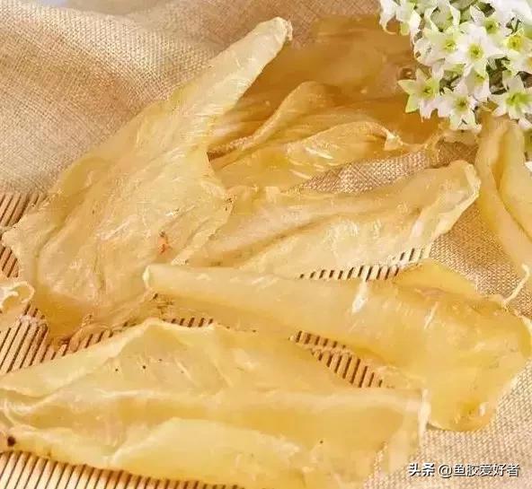 鱼胶花胶有什么不同,鱼胶和花胶的区别图片大全