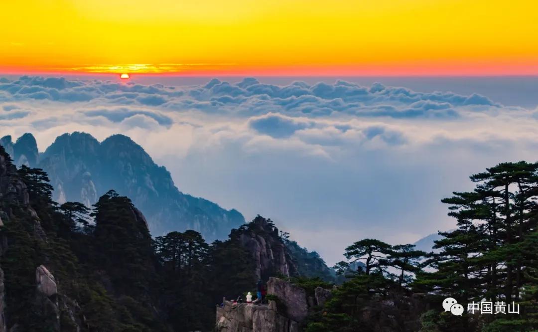 榛勫北绉嬪ぉ鎵撳崱,榛勫北绉嬪啲鎽勫奖澶ц禌