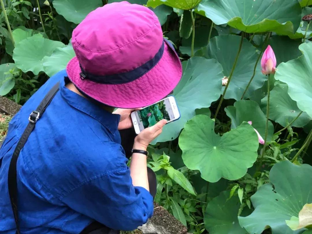 简媜抖音,简媜台湾女作家