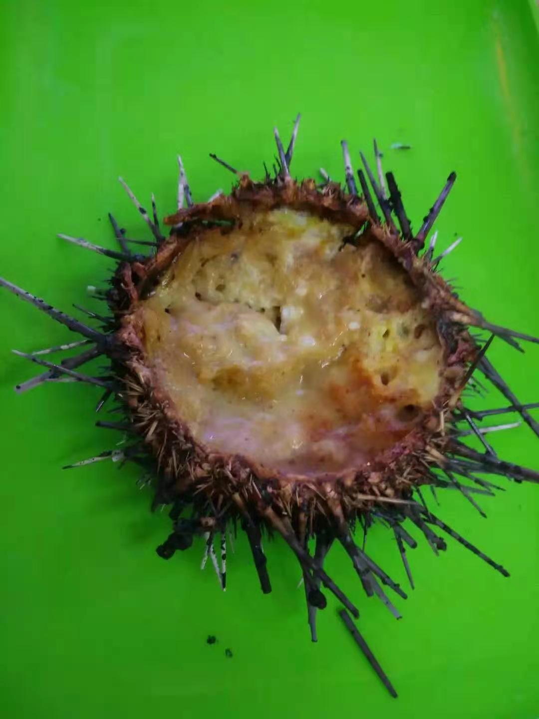 记录大连马拉松——爱人犯错为了我，我该怎么办？