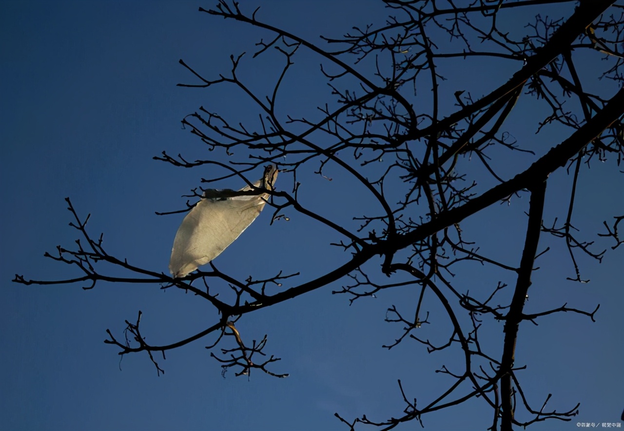 《那一刻____》作文怎么写？看语文老师怎么修改，还给你写范文