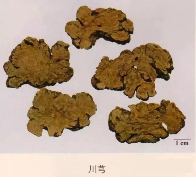 中药材图片大全大图带药名,200多味中药材图谱带图