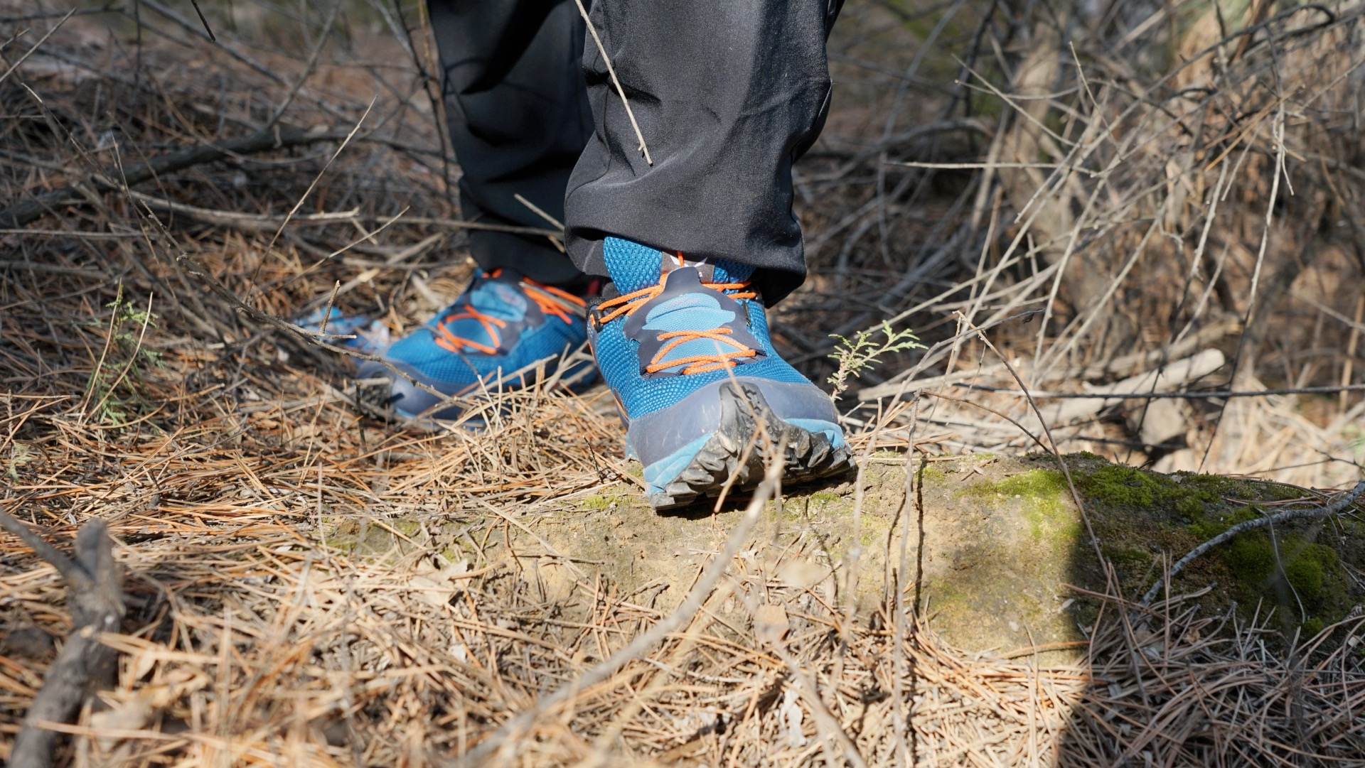 制定春游计划和路线图,制定春游计划