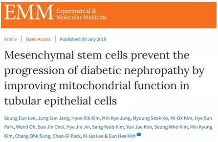 干细胞治疗糖尿病临床3期进展,糖尿病肾病干细胞