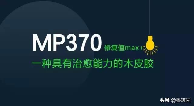 木皮起泡开裂,木皮开裂怎么治