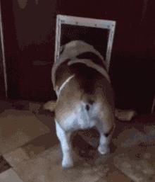 山海经中以乳为目以脐为口的怪物,山海经搞笑图片