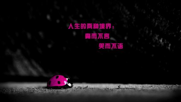 最难的不是相处而是理解,相处最重要的是什么