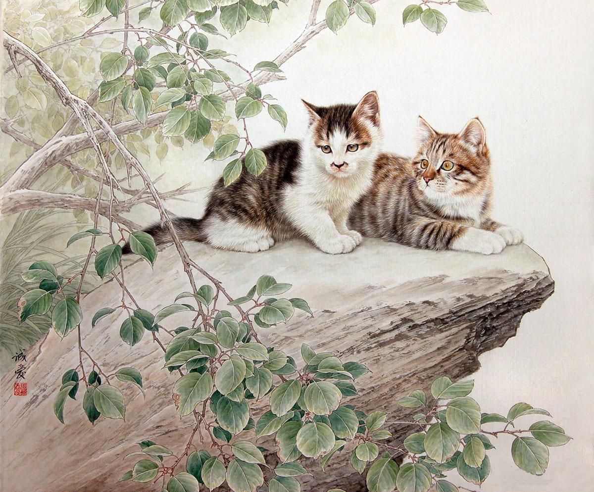 邢诚爱工笔猫画法,邢诚爱工笔画猫兔子高清大图