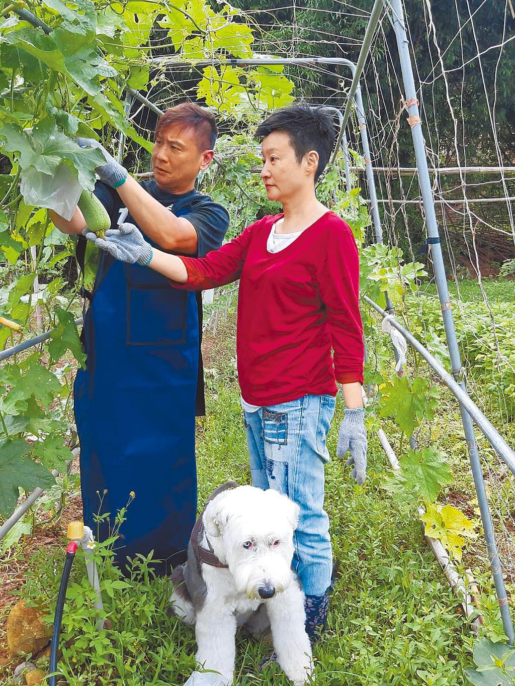 “台湾吴孟达”张世,让央视“钦定田蚡”,演技被北电当教材