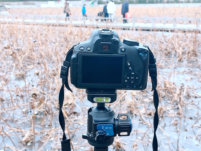 思锐碳纤维迷你三脚架测评,思锐AT125便携款三脚架