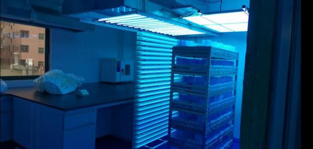 深度深圳⑥｜突然，我们的生活离不开口罩了