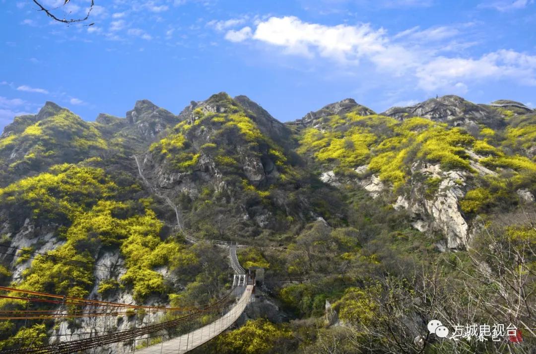 鍖绘姢浜哄憳鎶楀嚮鐤儏杞紤,绂瑰窞鐤儏鍖绘姢浜哄憳杞紤