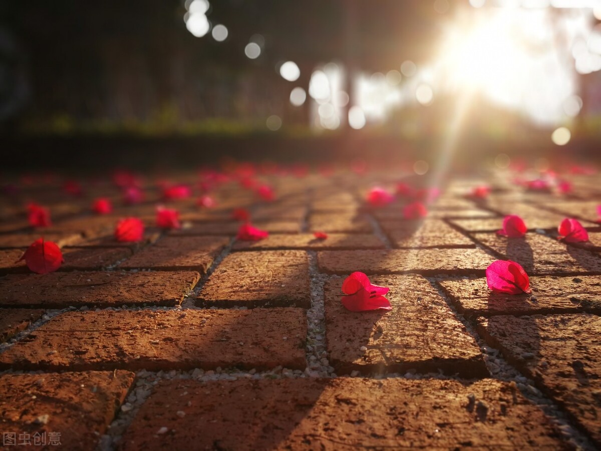 被前男友骚扰如何回应,被前男友诋毁如何回击